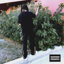 Way too different Táj