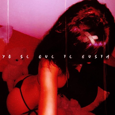 YO SE QUE TE GUSTA - Single