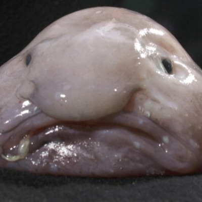 city girl kuno (feat. solum1ne) - Single