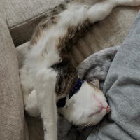 unreleased 2021 - Single - jinnwilliam