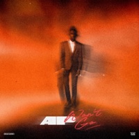 Won't Go - Single - AP