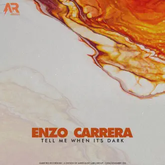 Tell Me When It's Dark (DUB Mix) by Enzo Carrera song reviws