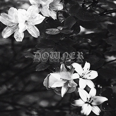 DOWNER - Single