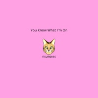 You Know What I'm On - Single - Itslitobbs