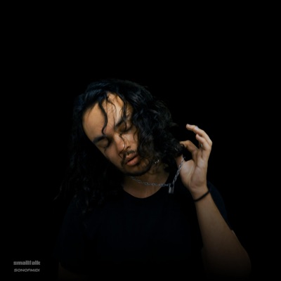 lying for forgiveness (smalltalk remix) - Single