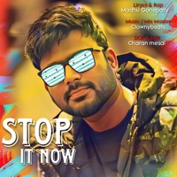 Stop It Now. - Single - Madhu Gonepally