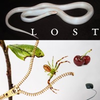 lost (verispeed) - Single - RudeClub
