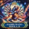 HAMRI MANO BHOLA JI (From "DEVO MEIN DEV SHANKAR") - Single