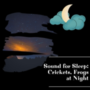 Sound for Sleep: Crickets, Frogs at Night - Night Sounds Channel, Night Nature Sounds & Frog Sounds Channel