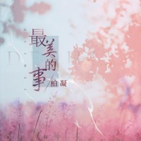 最美的事 - Single - 柏凝