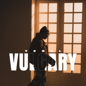 Vulgary