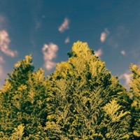 Sorella (feat. Harbor Fate & Sonant) - Single - Eagle Lake