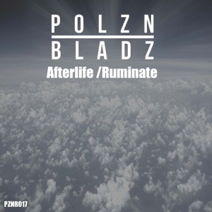 Afterlife / Ruminate - Single