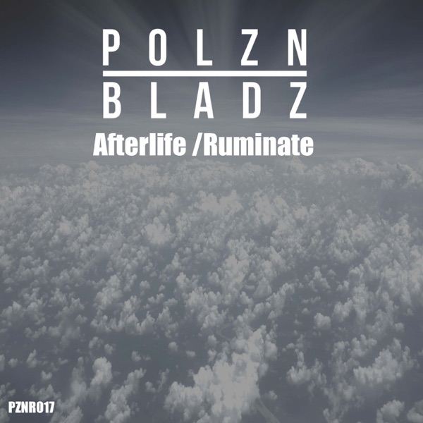 Afterlife / Ruminate - Single