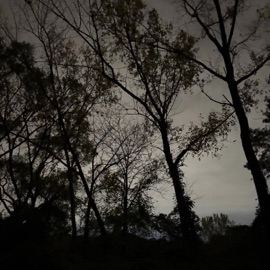 All By Myself (feat. Bando) JayNito