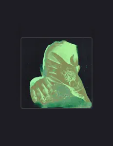 收听 BasedBlanco、观看音乐视频、阅读小传、查看巡演日期等 ！