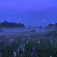 soft decay - Single - echoless & mindsad