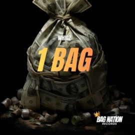 1 Bag Whigz