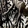 Fossilized