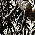 Fossilized