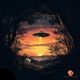 UFO Activity Single