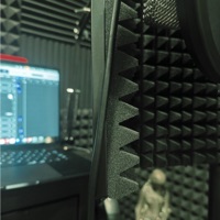 Phony (feat. Ankith Woods) - Single - gthomp