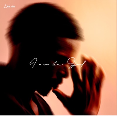 I no be God - Single