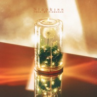 แฟนคนต่อไป (From Now On) - Single - Slapkiss