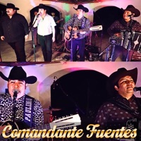 Comandante Fuentes (feat. Dueto Consentido) [En vivo] - Single - Paulino Rosas Y Su Estilo Norteño