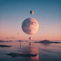 The Illusion of a New Perspective - Peggy Goodman