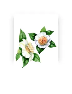 聆聽 Kuza 9star、觀看音樂影片、閱讀小傳、查看巡演日期等！