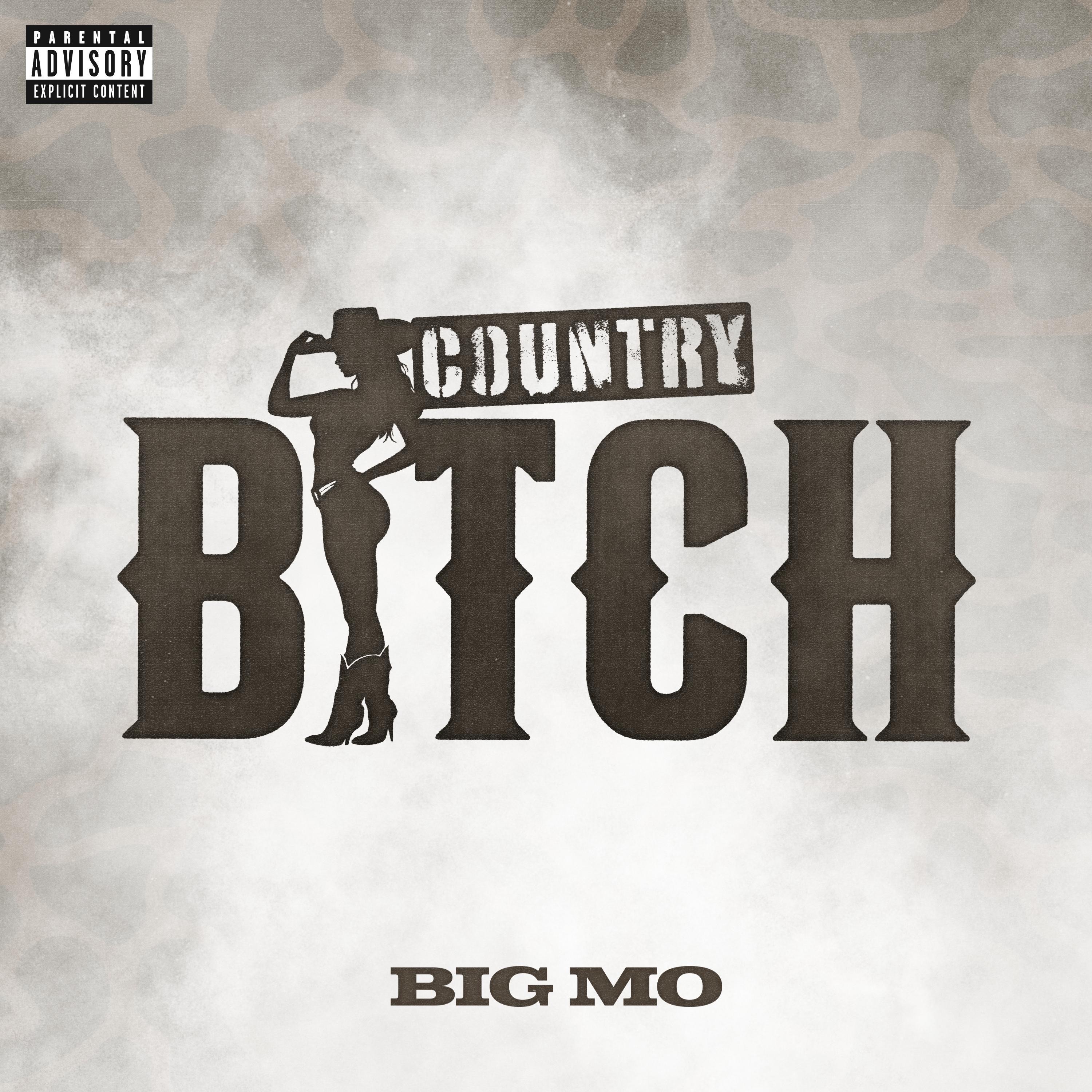 Country Bitch - Single
