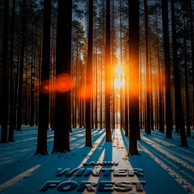 WINTER FOREST - Single