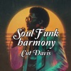 Smooth Funk
