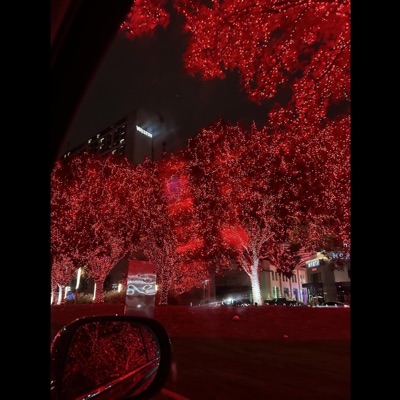 *Red Tree$* - Single