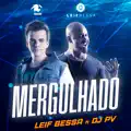 Mergulhado