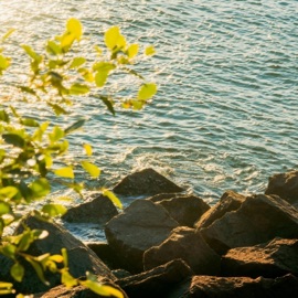 drowsy tides Kichiro & milligon