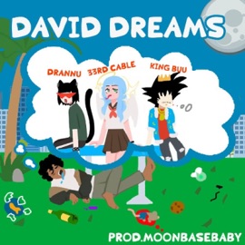 David Dreams (feat. Drannu, King Buu & MoonBaseBaby) 33rd Cable