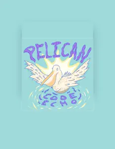 聆聽 Code:Echo、觀看音樂影片、閱讀小傳、查看巡演日期等！