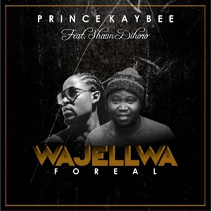 Foreal (feat. Shaun Dihoro) - EP