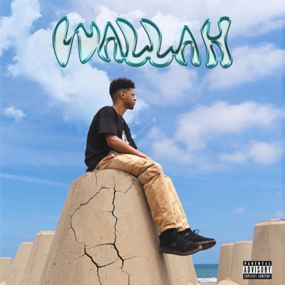 Wallah - Single
