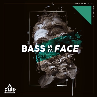 Bass in Ya Face, Vol. 12