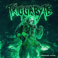 Crowd Ctrl - Single - Triggabyte