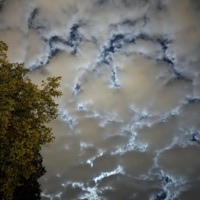 Timelapse - Single - Brenda Sue & Mikel