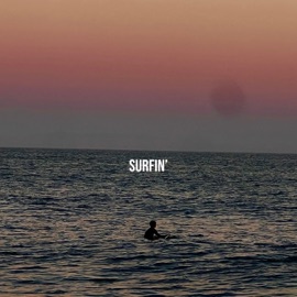 Surfin Chingoos