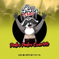 Pedro Pedro cuarteto - Single - La 440