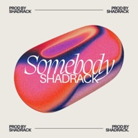 Somebody - Single - Shadrack