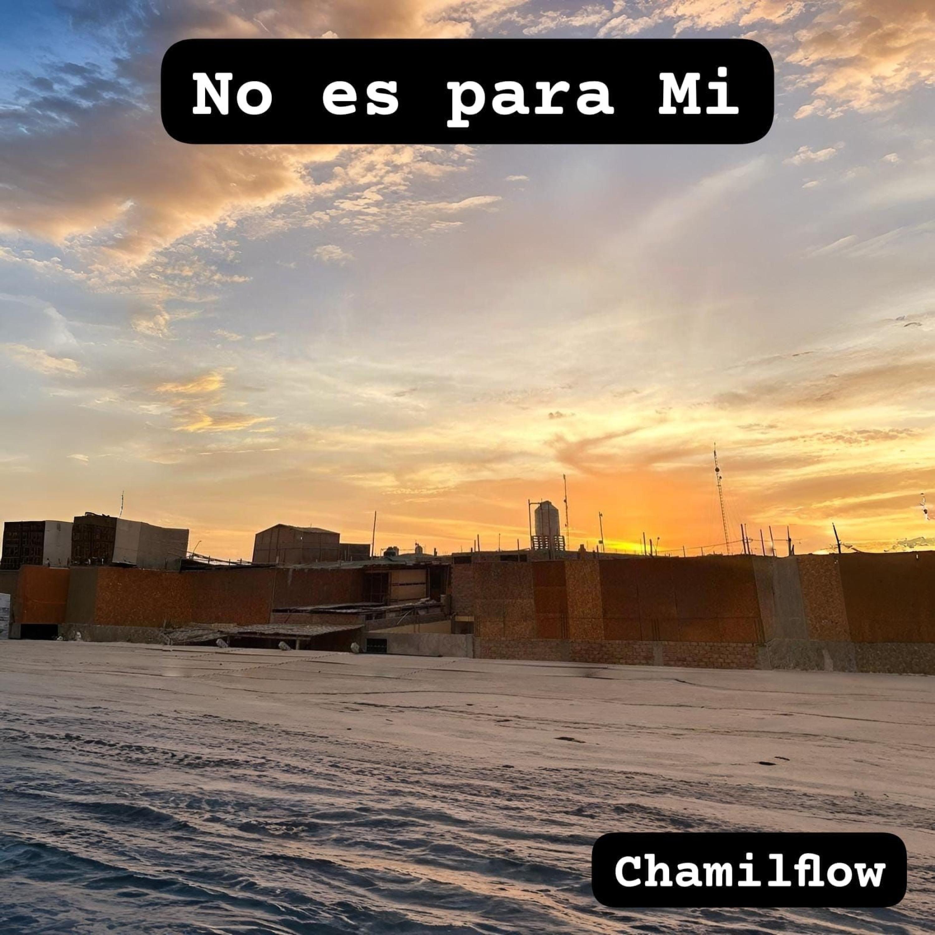 No es para Mi - Single