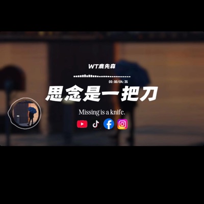 Haohao Music - 思念是一把刀/WT鹿先森