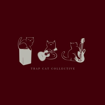 Trap Cat Collective